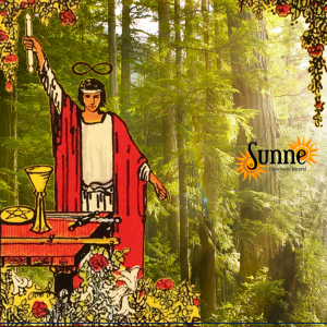 Sunne Tarot Collage El Mago